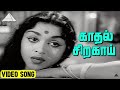 காதல் சிறகாய் Video Song | Paalum Pazhamum Movie Songs | Sivaji Ganesan | Saroja Devi