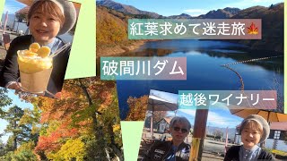 🍁紅葉求めて迷走旅🚗越後ワイナリー🍷クレープかぶりつき食いしん坊バレ