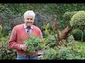 Get Gardening: Chucking and cutting