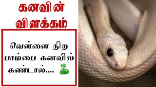 கனவின் விளக்கம் | வெள்ளை நிற பாம்பை கனவில் கண்டால்.. | Interpretation of the dream | Whitey snake