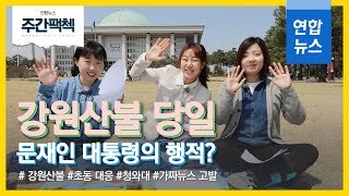 [주간팩첵 EP.06] 강원산불 당일 문재인 대통령의 행적? / 연합뉴스 (Yonhapnews)