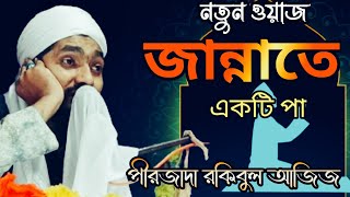 পীরজাদা রকিবুল আজিজ,রকিবুল আজিজ,প্রত্যেক কাজ নিয়াতের উপর নির্ভর সীল, জানাতে,একটি পা,#wazmodina