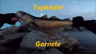 Uferangeln in Norwegen - Topköder Garnelenfliege / Flyfishing for seatrout and pollack