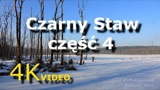 Czarny Staw cz.4 - Lasy Panewnickie 4K - SONY FDR-AX53 Katowice Panewniki Ruda Śląska Kochłowice