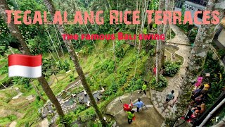 Tegalalang Rice Terraces and D' Tukad Coffee Club Bali in Ubud 🇮🇩 #bali #indonesia #ubud