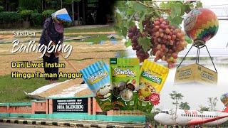 Saba Desa Balingbing, Dari Uniknya Liwet Instan hingga Taman Anggur Subang O & I Farm