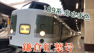 【189系】鎌倉紅葉号に乗車。(拝島~府中本町)(11/25.2017)(189系N102編成)