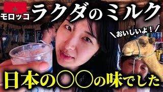 【意外】サハラ砂漠でラクダのミルクを飲んでみたら、日本の”アレ”の味でした…