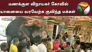 People gather to welcome the elephant at the Manakula Vinayagar temple