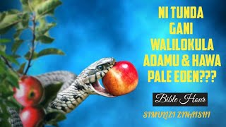 (Bible Hour) FAHAMU TUNDA ALILOKULA ADAM NA HAWA. Season 1 ep 6