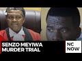 Senzo Meyiwa Murder Trial: Key Testimonies & Justice System Concerns