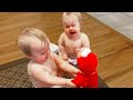 Best Video of Cutest Twin Babies Fighting - Funny Baby Videos || Cool Peachy🍑