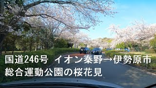 ドライブ 国道246号 イオン秦野→伊勢原市総合運動公園の桜花見/JP Drive Route 246 Aeon Hadano→Isehara City Sports Park