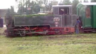 mocanita - steamengine, scmalspurbahn Criscior-Brad - at Brad, Hunedoara