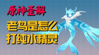 【原神歪解】老鸟是怎么打纯水精灵的