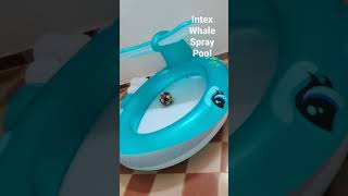 Intex#Whale#spray#swimming#pool#good#quality#kids#fav#enjoying