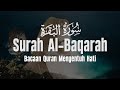 Surah Al Baqarah سورة البقرة  Dengan Suara Indah Membuat Hati Tenang by Ismail Al Qadi