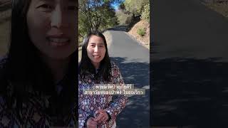 พาชมวัดป่าอภัยคีรี สาขาวัดหนองป่าพงในอเมริกา #abhayagiri #tour #california #เที่ยว #แคลิฟอร์เนีย