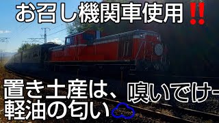 【永久保存版】信越横川行ﾗｽﾄﾗﾝ‼️ｻﾖﾅﾗDL群馬ﾓﾀﾞﾝﾚﾄﾛ客車列車❗️煙モクモク漂う軽油の匂い❤️#電気機関車#ディーゼル機関車#客車 #客車列車#DE10#ef64#モダン#レトロ