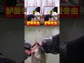 精釣冬鱸：冬季用精細釣組釣鱸魚 bass fishing in winter fishing bassfishing outdoors 熱門 路亞 路亞教學