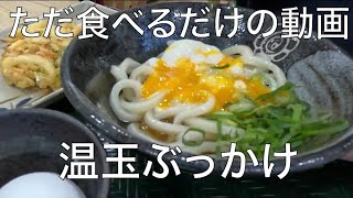 【ただ食べるだけ】はなまるうどんの温玉ぶっかけを喰らう【私の絶品グルメ】