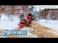 Les Animaux de la 8 en Savoie - Émission intégrale