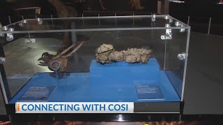 Connecting with COSI: Dinosaur manure