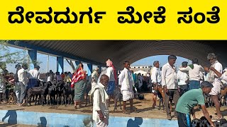 ದೇವದುರ್ಗ ಮೇಕೆ ಸಂತೆ | Devadurga goat market |