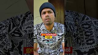 പൂച്ച സാറും പല്ലിയും 😹🦎 | #shorts #comedy #funny #malayalamcomedy | Abishek's Imaginations