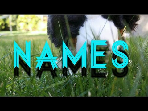 Names Names