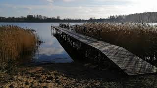 Štai ką reiškia turėti gerą vadovą!