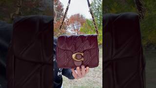 what fits in my coach bag times square tabby 20 merlot