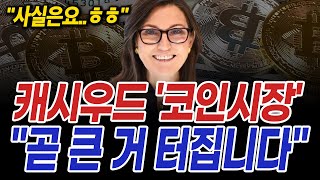 캐시우드가 말하는 향후 코인시장의 미래와 세력들의 진짜 속내