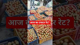 आज टमाटर  मंडी भाव क्या रहा? ? Tomao rate today #farming #agriculture #tomatofarming