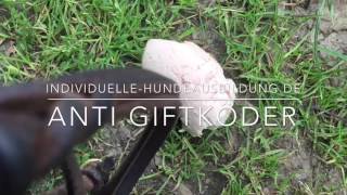 Anti-Giftköder-Training