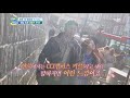 하룻밤만 재워줘 예능 최초 세계 1위 명문대 옥스퍼드 캠퍼스 투어 . 20180319