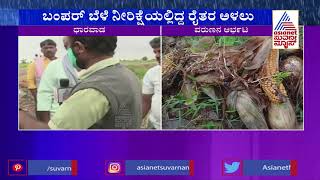 Dharwad ; ರೈತರ ಕನಸಿಗೆ ತಣ್ಣೀರು ಎಸಗಿದ ಮಳೆರಾಯ.! Agricultural Crops Destroyed Due To Heavy Rain