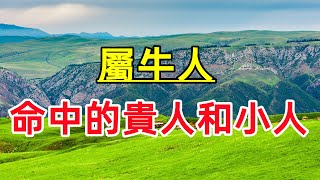 【十二生肖】屬牛人：命中的貴人和小人是誰？