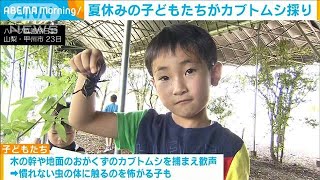 夏休み 子どもたちがカブトムシ採り体験(2023年7月24日)