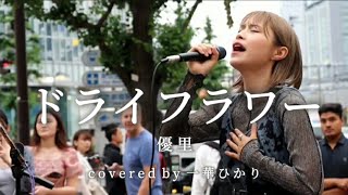 【毎日投稿】ドライフラワー / 優里 covered by 一華ひかり  17/100