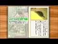 【観察日記】庭池が凍ってしまいました！亀たちは大丈夫？冬眠確認【2022.2.24】