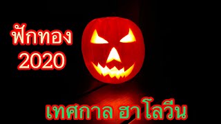 แกะสลักฟักทอง เทศกาลฮาโลวีน Halloween pumpa #Halloween