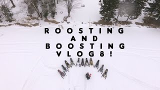 Roosting and Boosting | Vlog 8