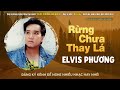 ♬ rừng chưa thay lá elvis phương huỳnh anh hoàng ngọc Ẩn