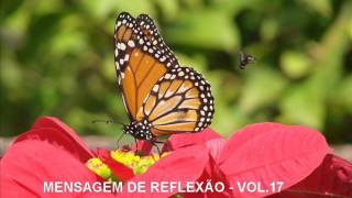 Mensagem de Reflexão - Vol.17 A Luz do Espiritismo