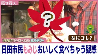 【日田市】「もみじ」おいしく食べちゃう疑惑を調査！【ド・ローカルミステリー】【アサデス。】