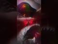 Path of Titans - Tyrannosaurus Rex VS Spinosaurus (outdated)