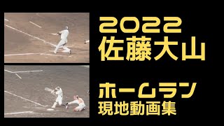 佐藤輝明 大山悠輔 2022現地でたまたま取れたホームラン動画集 #hanshin #tigers #阪神タイガース