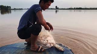 狮子山台风后水变的浑浊，没想到大货非常多，看到渔货幸福感爆棚