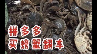 花了40块钱在拼多多买了60只螃蟹，没想到翻车了。。。